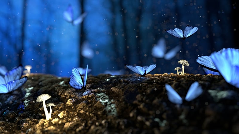 Enchanted Escapades